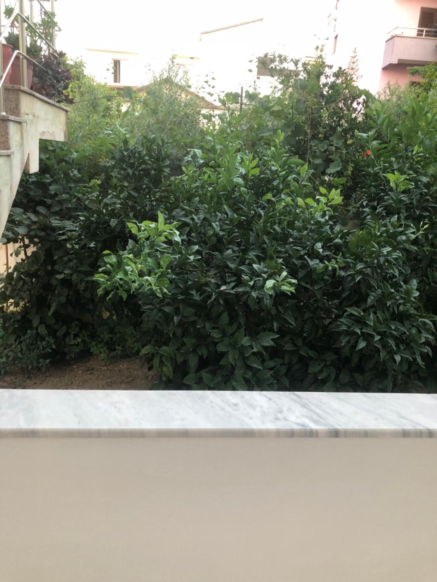 Rooms For Rent Durres Bagian luar foto
